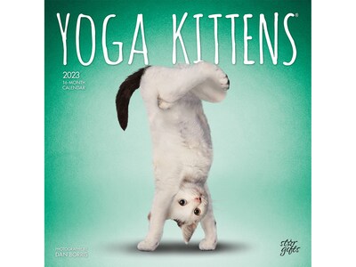 2023 BrownTrout Yoga Kittens 12 x 12 Monthly Wall Calendar (9781975453312)
