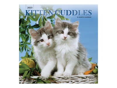 2023 StarGifts Kitten Cuddles 12 x 12 Monthly Wall Calendar (9781975453459)