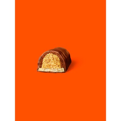 Reese's Snack Size Assorted Milk Chocolate Peanut Butter Variety Bag, 28.05 oz. (HEC40060)