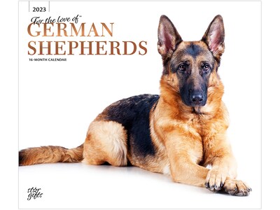 2023 BrownTrout For the Love of German Shepherds 12 x 14 Monthly Wall Calendar (9781975453190)