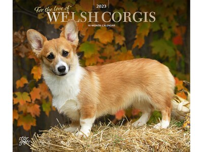 2023 BrownTrout For the Love of Welsh Corgis 12 x 14 Monthly Wall Calendar (9781975453213)