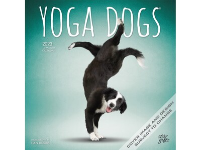 2023 BrownTrout Yoga Dogs 12 x 12 Monthly Wall Calendar (9781975455750)