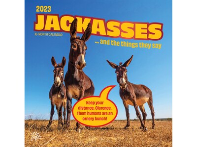 2023 BrownTrout Jackasses 12 x 12 Monthly Wall Calendar (9781975453527)