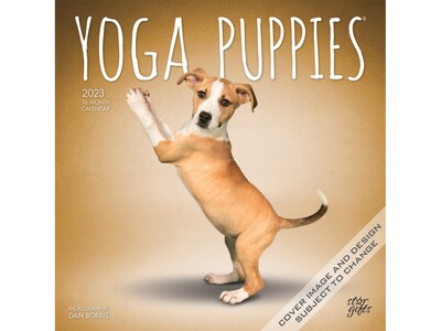 2023 BrownTrout Yoga Puppies 12 x 12 Monthly Wall Calendar (9781975453329)