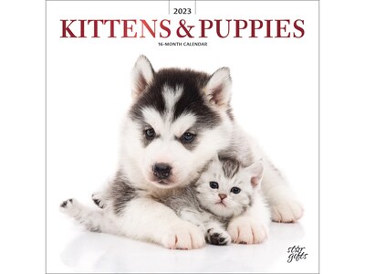 2023 BrownTrout Kittens & Puppies 12 x 12 Monthly Wall Calendar (9781975453466)