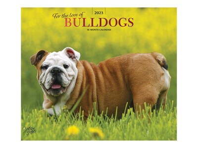 2023 BrownTrout For the Love of Bulldogs 12 x 14 Monthly Wall Calendar (9781975453268)