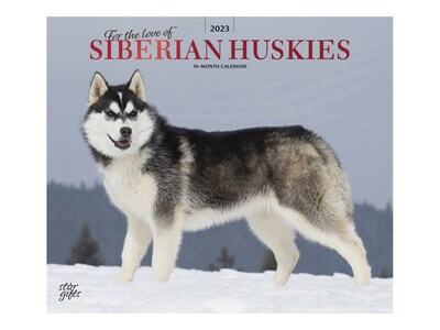 2023 BrownTrout For the Love of Siberian Huskies 12 x 14 Monthly Wall Calendar (9781975453305)