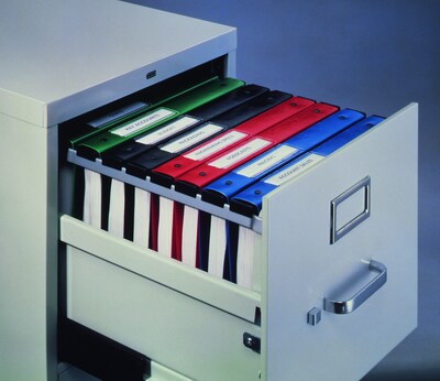 Avery 1" 3-Ring Hanging Binder, Blue (14800)