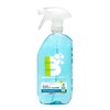 Boulder Clean Glass + Surface Cleaner, Herbal Peppermint Scent, 28 Oz. (003229EA)