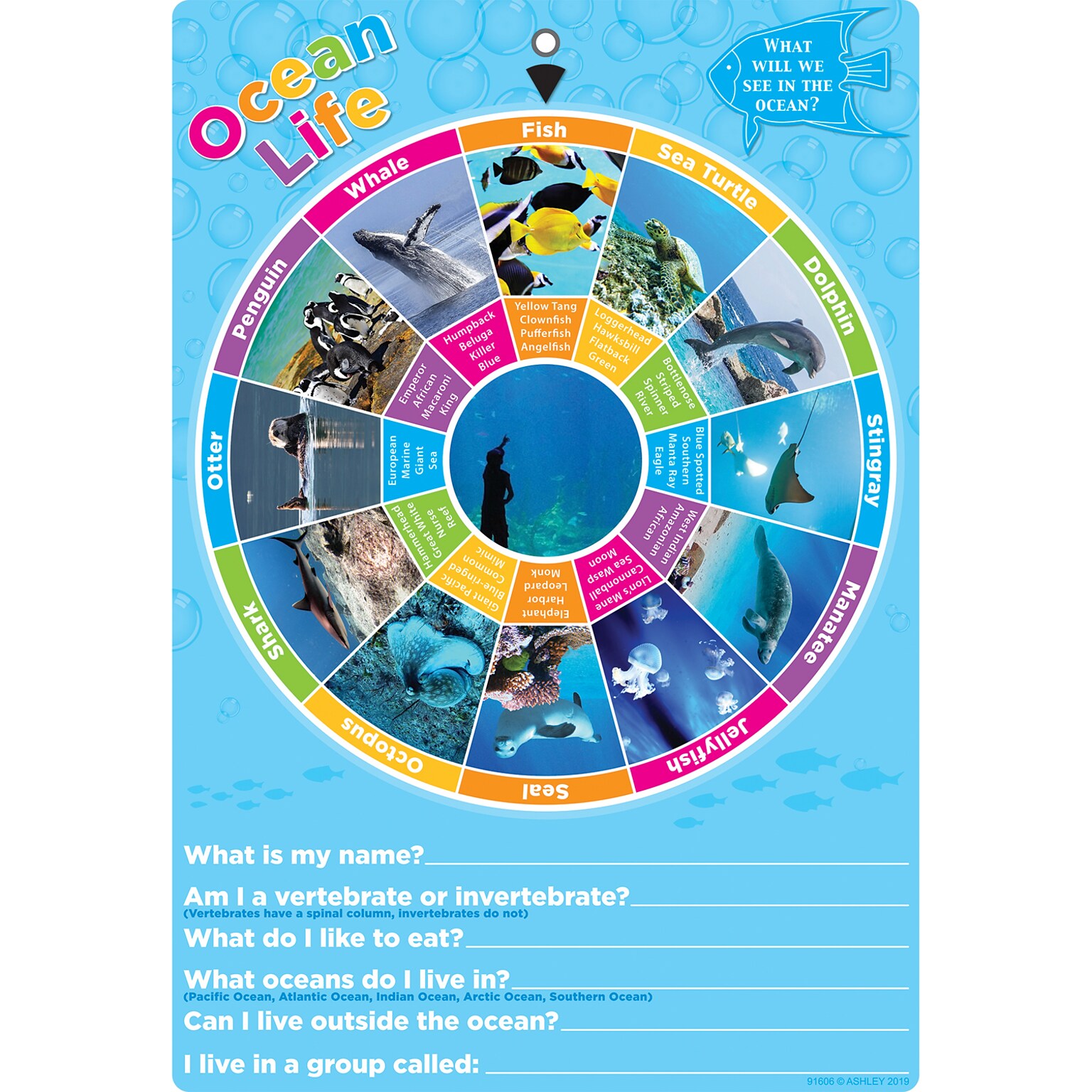 Ashley Productions® Smart Poly® 13 x 19 Ocean Life Chart (ASH91606)