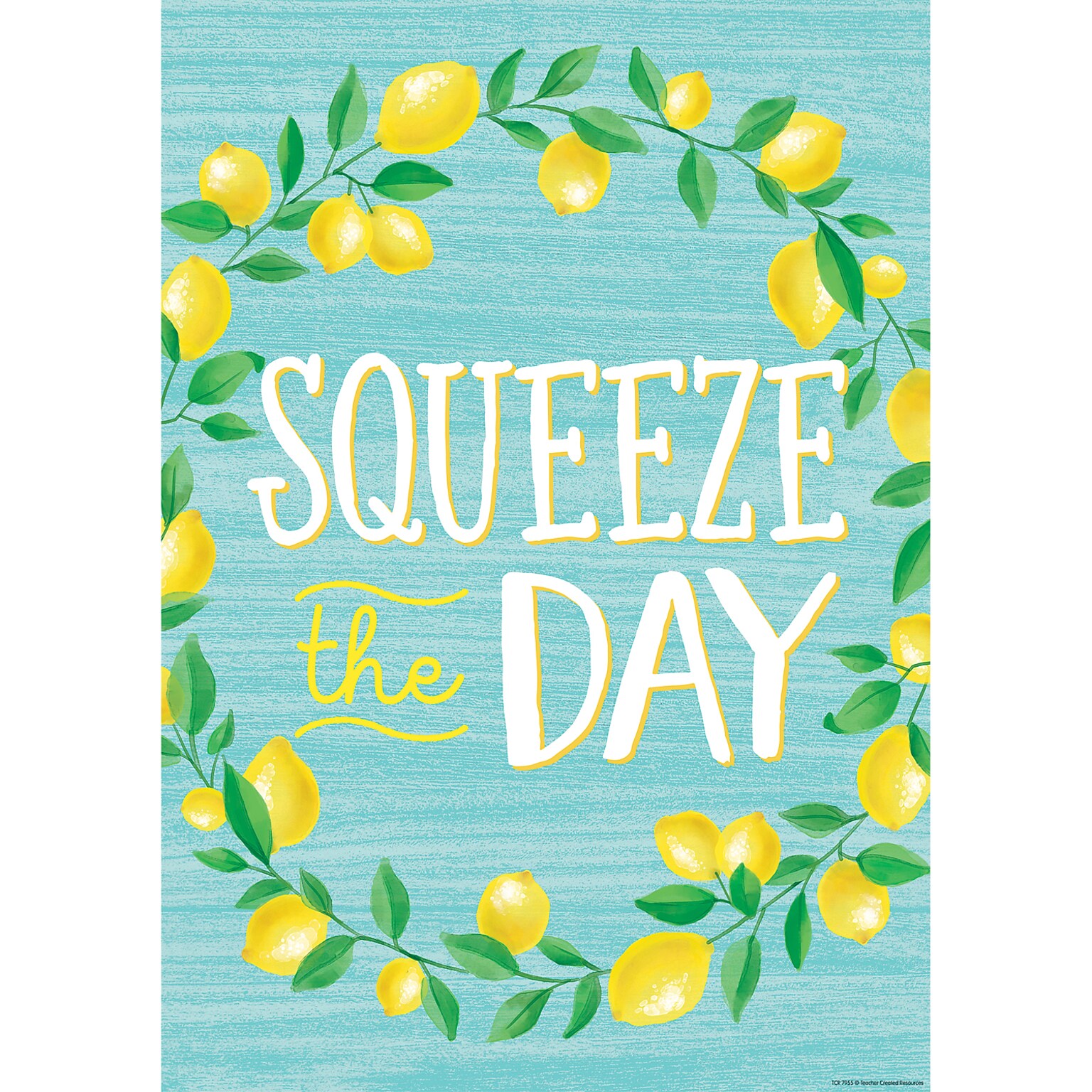 Teacher Created Resources® 19 x 13-3/8 Squeeze the Day Positive Poster (TCR7955)
