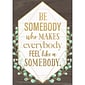 Teacher Created Resources® Be Somebody Who Makes Everybody Feel like a Somebody Positive Poster, 13-3/8" x 19" (TCR7978)