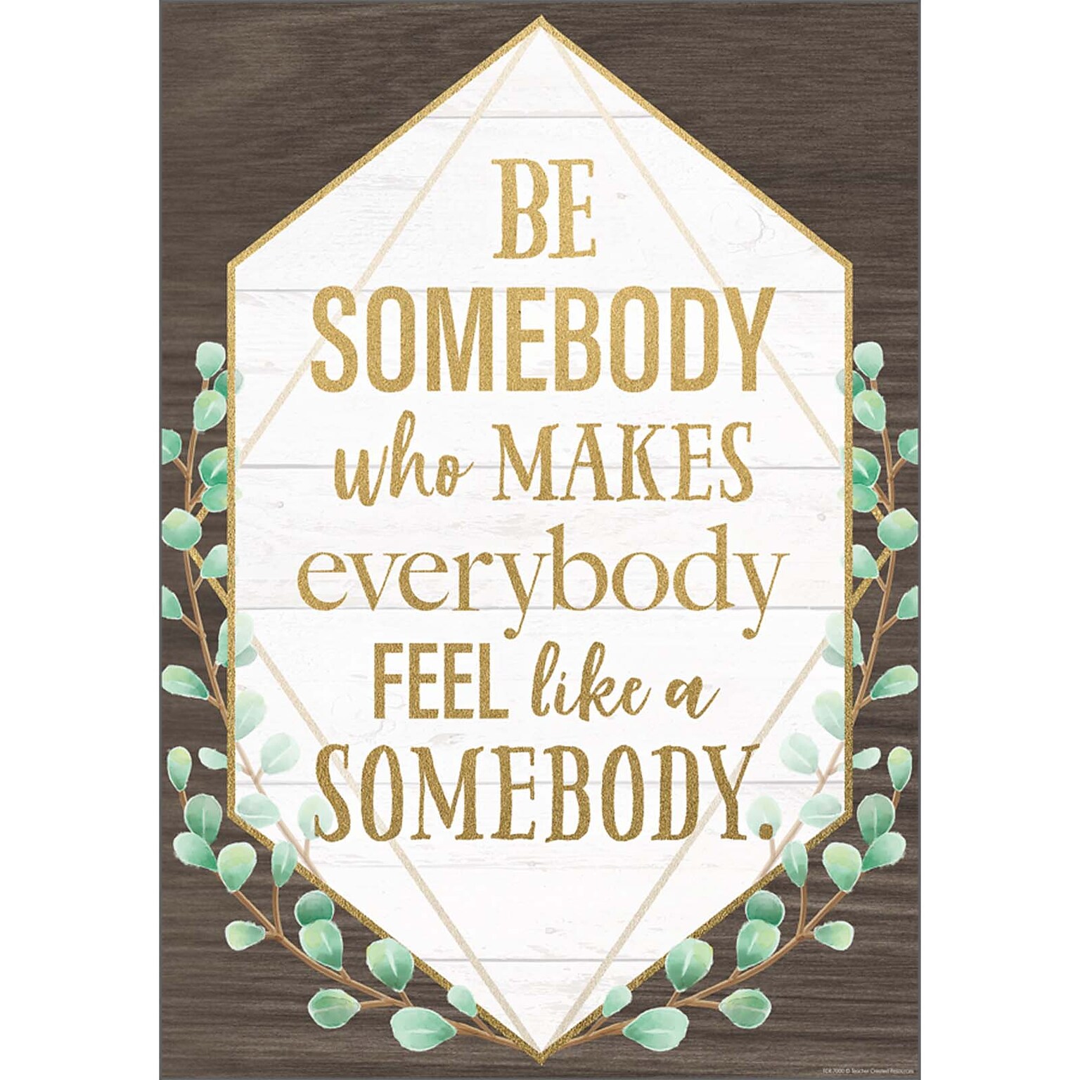 Teacher Created Resources® Be Somebody Who Makes Everybody Feel like a Somebody Positive Poster, 13-3/8 x 19 (TCR7978)
