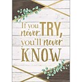 Teacher Created Resources® 13-3/8 x 19 If You Never Try, Youll Never Know Positive Poster (TCR797
