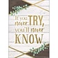 Teacher Created Resources® 13-3/8" x 19" If You Never Try, You'll Never Know Positive Poster (TCR7979)