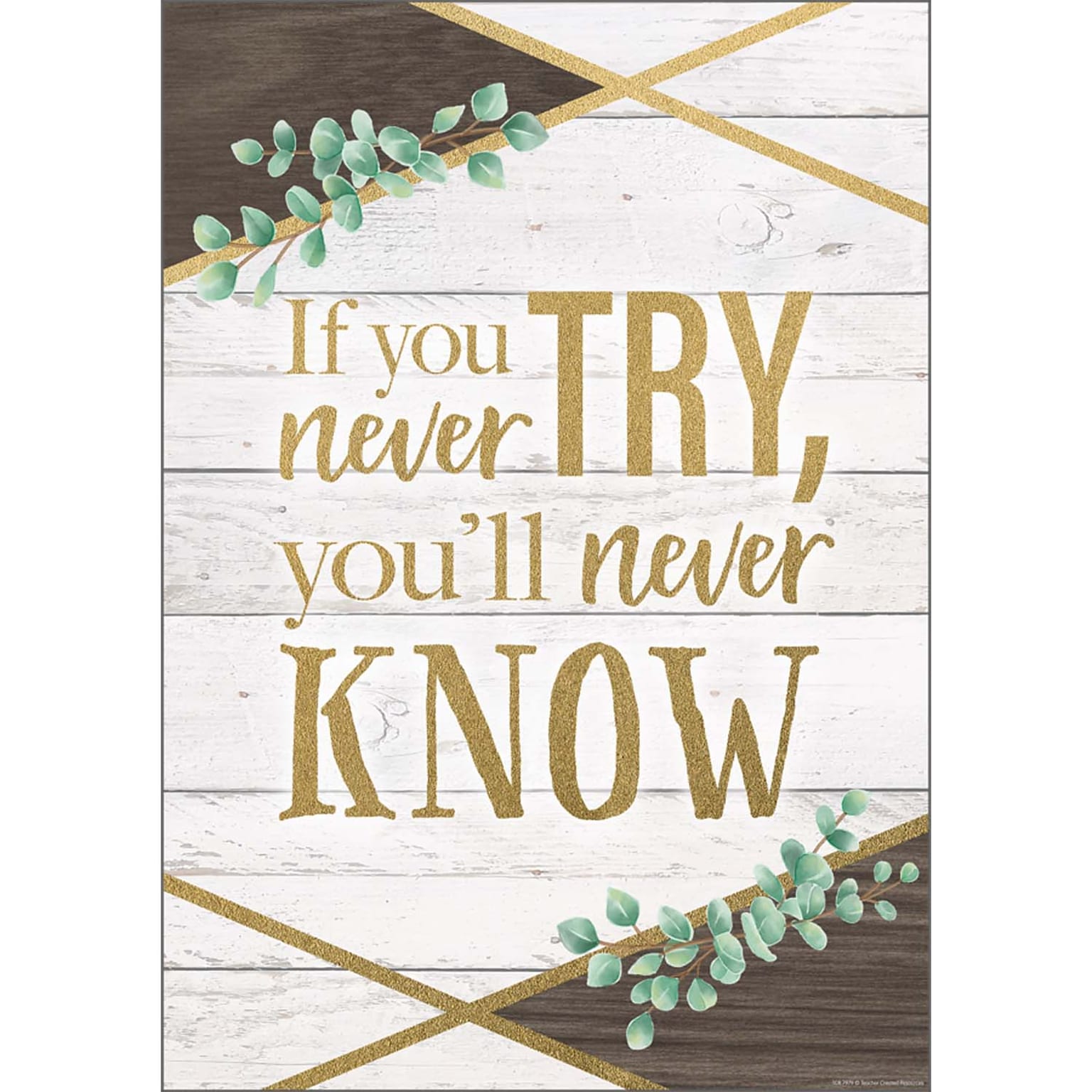 Teacher Created Resources® 13-3/8 x 19 If You Never Try, Youll Never Know Positive Poster (TCR7979)