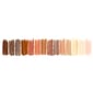 Kwik Stix  Tempera Paint Sticks, Global Skin Tone Colors, Pack of 14 (TPG672)