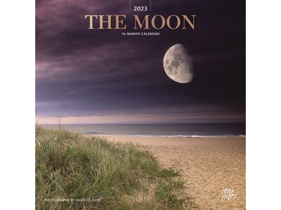 2023 BrownTrout The Moon 12 x 12 Monthly Wall Calendar (9781975453367)