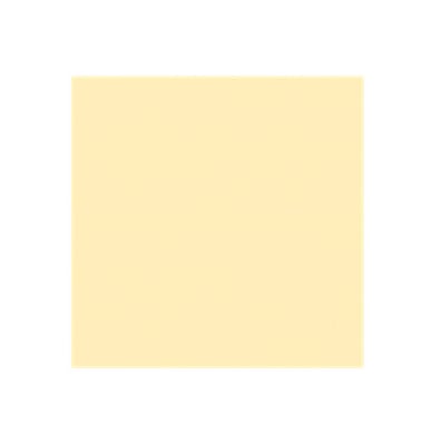 Neenah Exact® Vellum Bristol Colored Paper, 27 lbs., 8.5 x 11, Ivory, 2000 Sheets/Carton (82361)