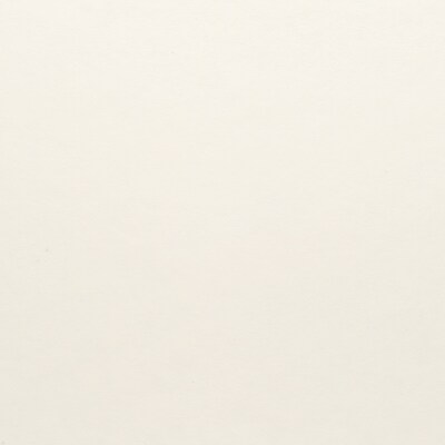 Astroparche® 8.5 x 11 Vellum Paper, 24 lbs., 500 Sheets/Ream (27111)