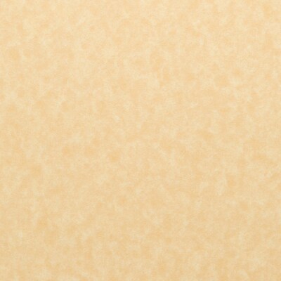 Astroparche® Vellum Colored Paper, 24 lbs., 8.5 x 11, Ancient, 500 Sheets/Ream (27171)