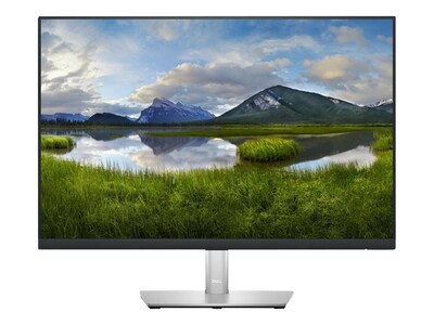 Dell 24 LED Monitor, Black/Silver (DELL-P2423)