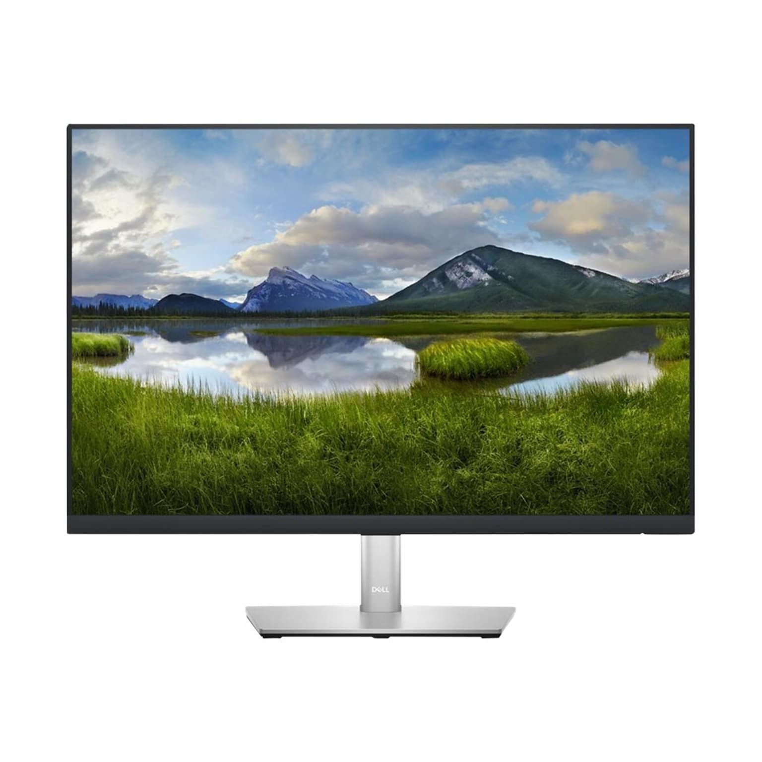 Dell 24 LED Monitor, Black/Silver (DELL-P2423)