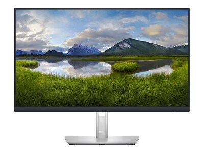 Dell 24 LED Monitor, Black/Silver (DELL-P2423DE)