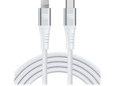 LAX Gadgets Lightning to USB-C Cable for iPhone/iPad/iPod touch, Silver (MFIUSBC3FT-SLV)