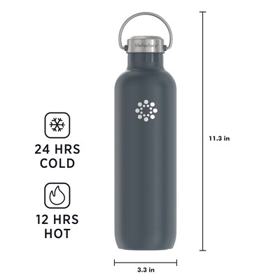 Lifefactory Stainless Steel Double Wall Insulated Water Bottle, 32 oz., Carbon (LIFLS365MCN4)