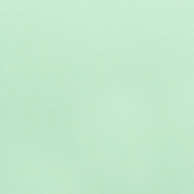IP Springhill® Opaque Colored Copy Paper, 24 lbs., 8.5" x 14", Green, 500 Sheets/Ream (024225)