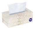 Kleenex Ultra Soft Facial Tissue, 3-ply, 120 Tissues/Box, 8 Boxes/Pack (50153)