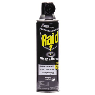 Raid Wasp and Hornet Killer, 14 oz. Aerosol Spray, 12/Carton (SJN668006)