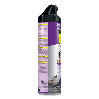 Raid® Foaming Crack and Crevice Bed Bug Killer, 17.5 oz Aerosol Spray