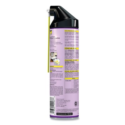 Raid® Foaming Crack and Crevice Bed Bug Killer, 17.5 oz Aerosol Spray