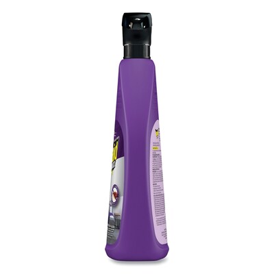 Raid® Bed Bug and Flea Killer, 22 oz Bottle
