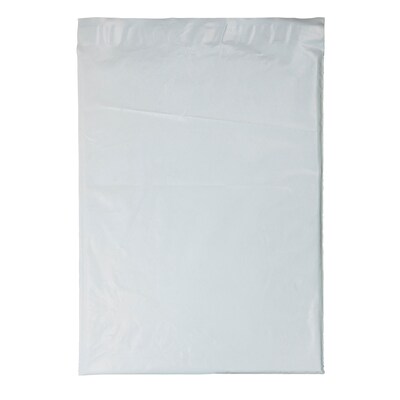 Custom 12W x 15 1/2H Plastic Mailer (26WHM1215)