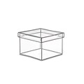 Design Ideas Lookers Box, Small, Clear (165321)