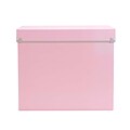 Design Ideas Frisco File Box, Pink (3060566)