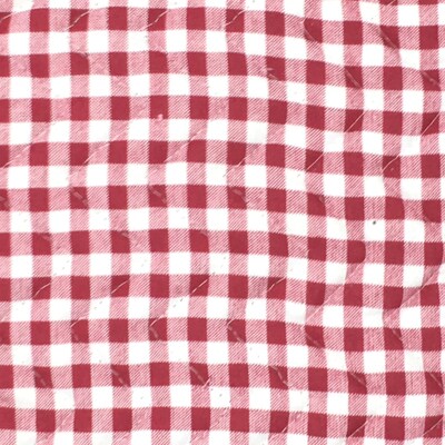 Better Houseware Gingham Pot Holder, Red, (1583/R)