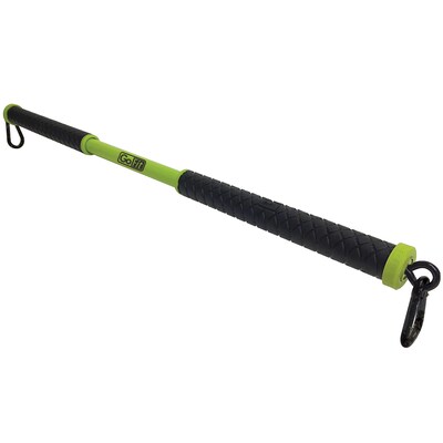 GoFit Green Resist-a-Bar Total-Body Strength-Training Tool (GF-RAB)