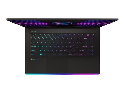 MSI Raider GE67HX 12UHS-069 15.6" Laptop, Intel Core i9, 32GB Memory, 1TB SSD, Windows 11 Professional (RAIDERGE6712069)