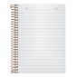 Ampad 1-Subject Professional Notebooks, 5" x 7", College Ruled, 100 Sheets, Gray/Silver (20-803R)