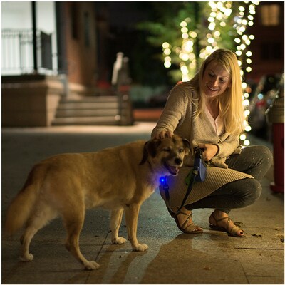 Custom LED Clip-On Pet Safety Light