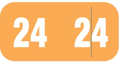 Medical Arts Press Smead Compatible Small End-Tab 2024 Year Label, Orange, 250/Pack (3266