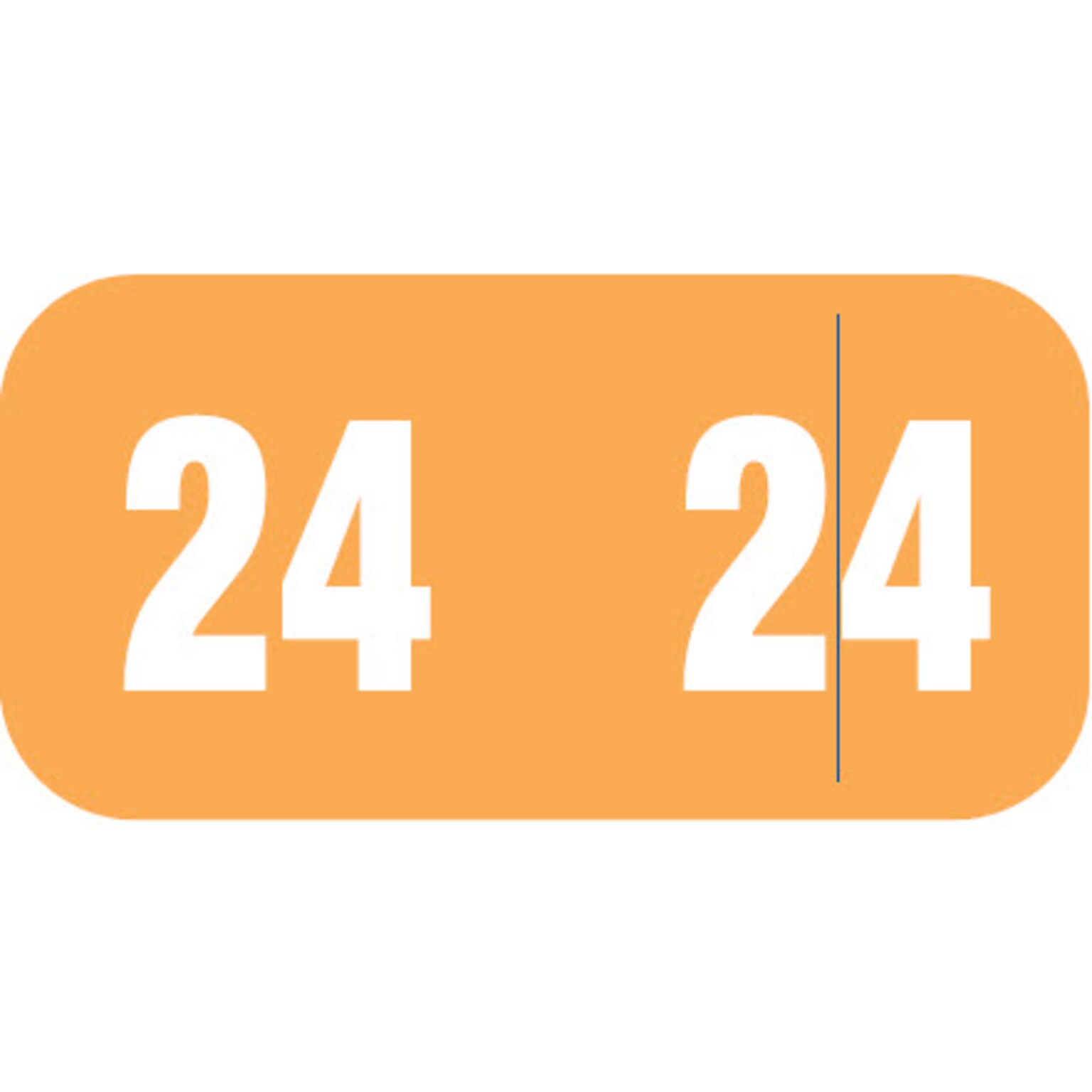 Medical Arts Press Smead Compatible Small EndTab 2024 Year Label, 1/2