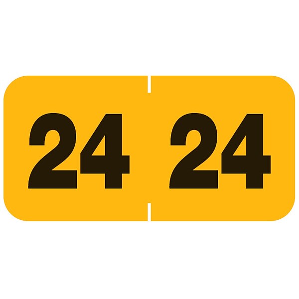 Medical Arts Press Smead Compatible Large 2024 Year Label, 3/4" x 11/2