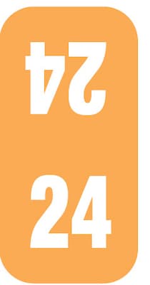 Medical Arts Press Smead Compatible Small Top-Tab 2024 Year Label, 1/2" x 1", Orange, 250/Pack (3266424)