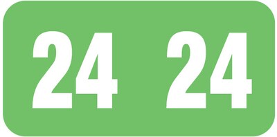 Medical Arts Press TAB Large Compatible Green End-Tab Year Labels; 2024, 500/Roll (3266724)