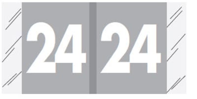 Medical Arts Press Col'RTab Compatible Year Roll Labels, 2024, Gray, 500/Roll (3267024)